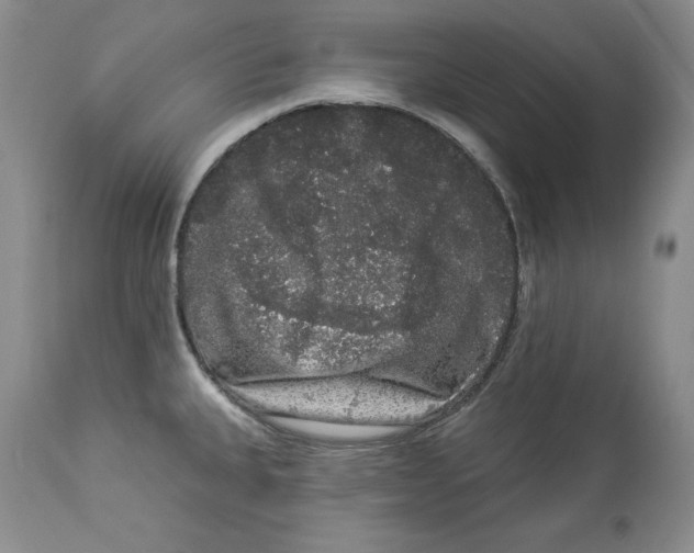 X0000113981335200910231659