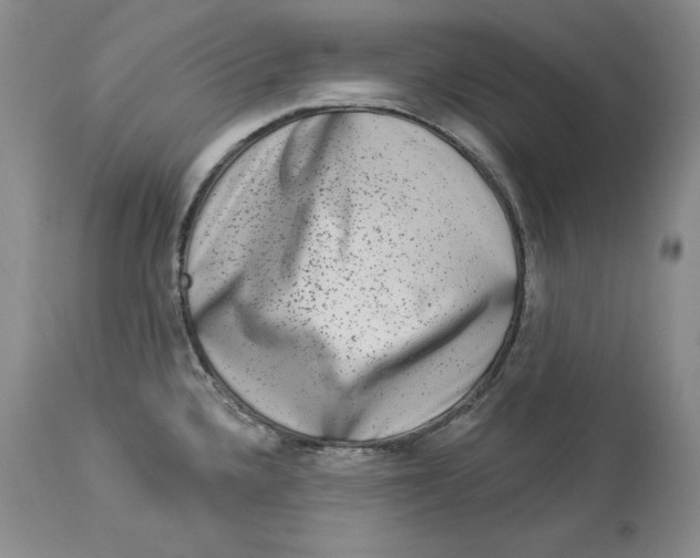 X0000113981336200910231659