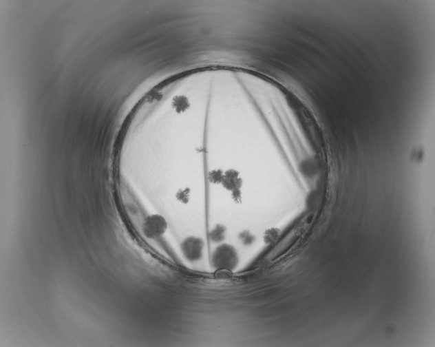 X0000113981339200910231700