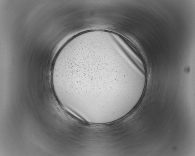 X0000113981340200910231700