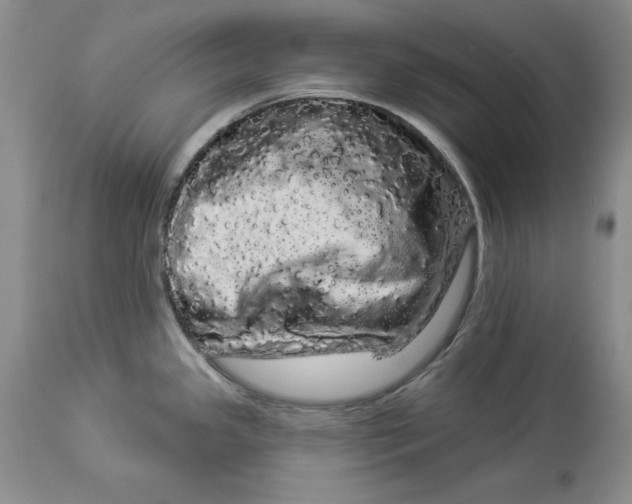 X0000113981341200910231700