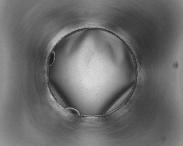 X0000113981342200910231700