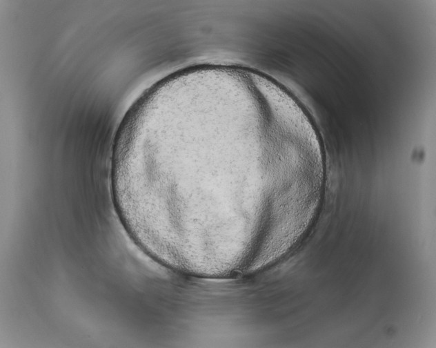 X0000113981343200910231700