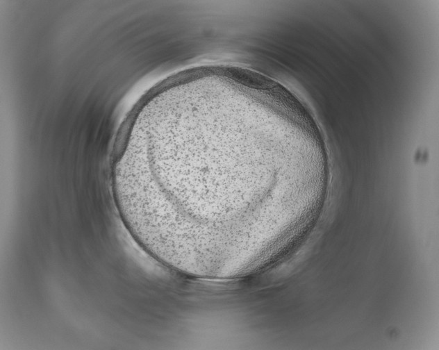 X0000113981344200910231700