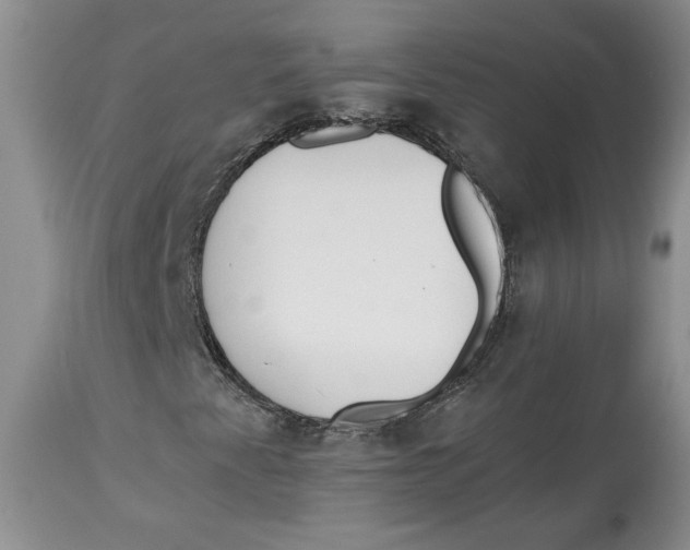 X0000113981345200910231659