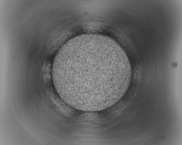 X0000113981346200910231659