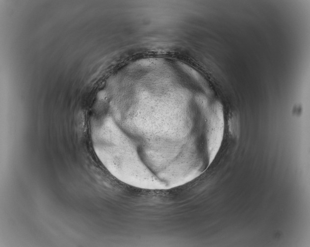 X0000113981347200910231659