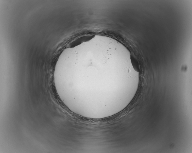 X0000113981349200910231659