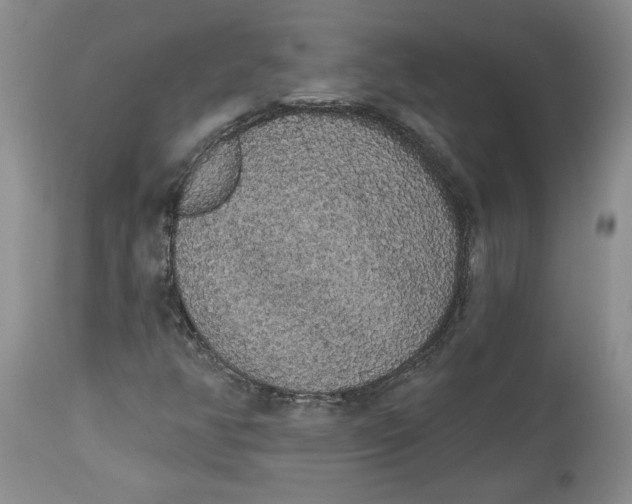 X0000113981350200910231659