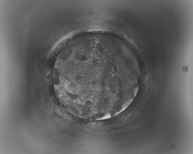 X0000113981351200910231659