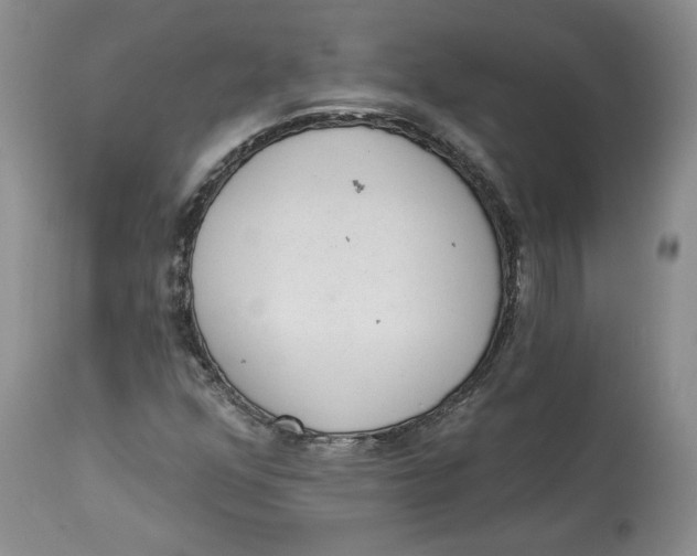 X0000113981352200910231659