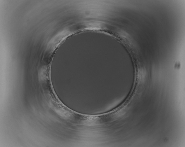 X0000113981353200910231659