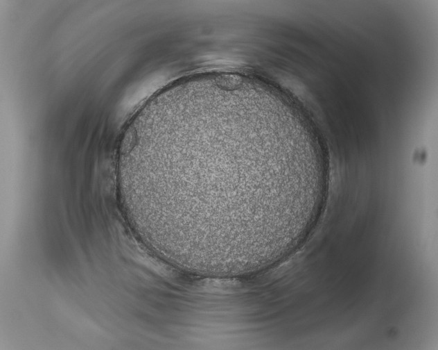 X0000113981354200910231659