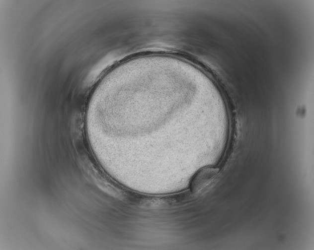 X0000113981355200910231659