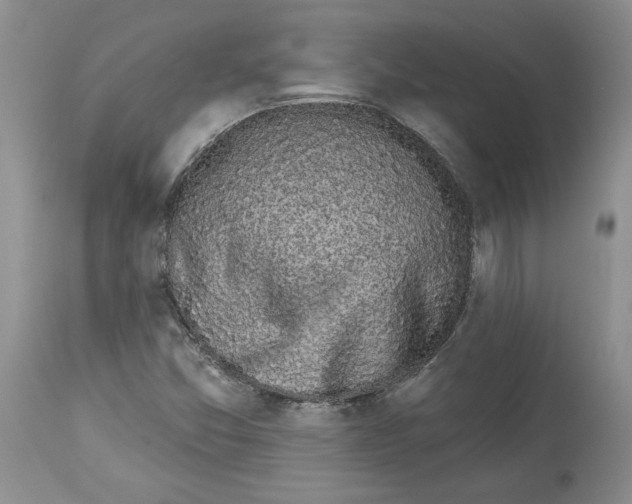 X0000113981357200910231659