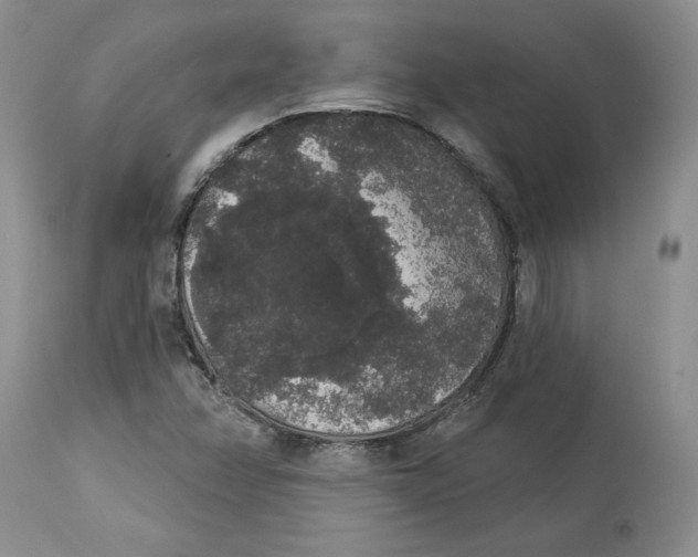 X0000113981358200910231659