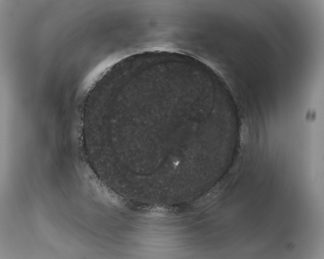 X0000113981359200910231659