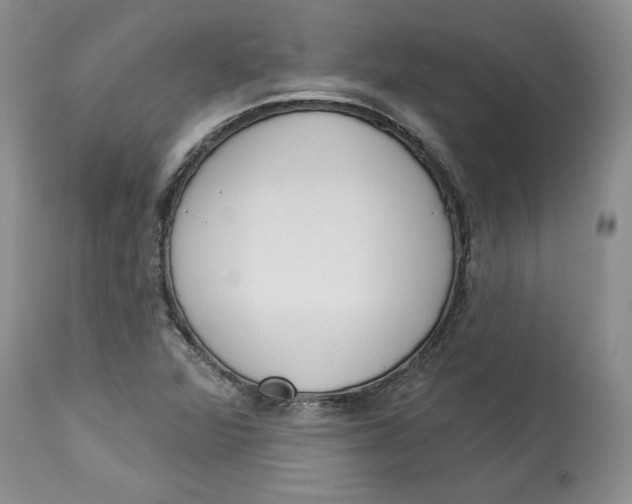 X0000113981360200910231659