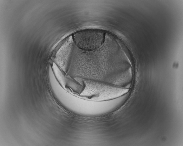 X0000113981361200910231659