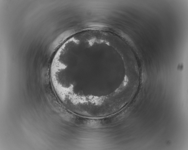 X0000113981362200910231659