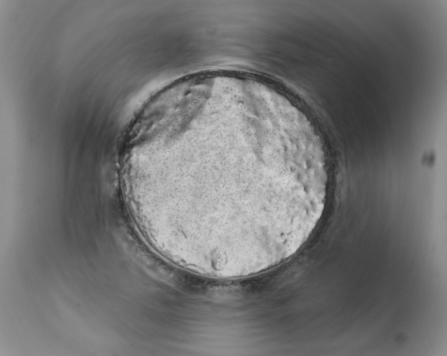 X0000113981363200910231659