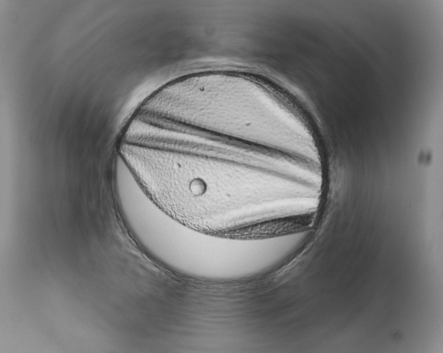 X0000113981365200910231659