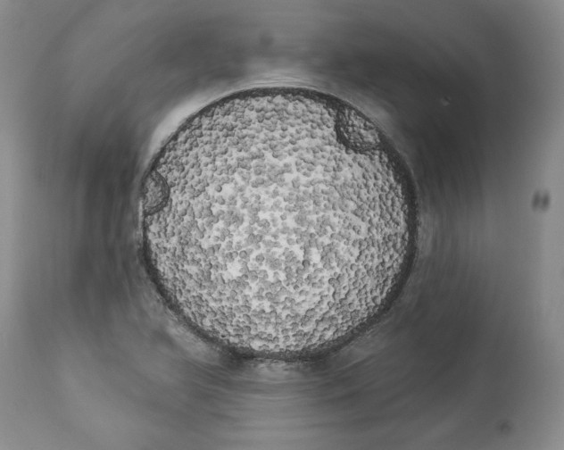 X0000113981366200910231659