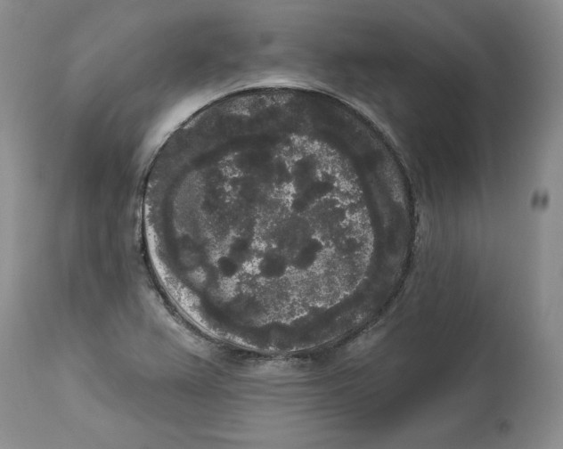 X0000113981367200910231659