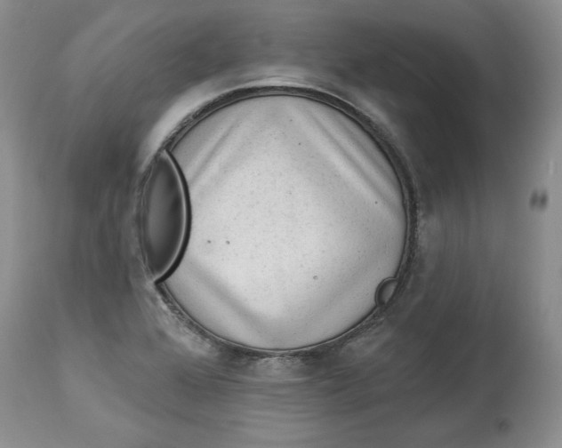 X0000113981368200910231659