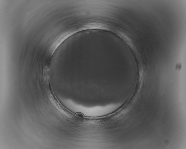 X0000113981369200910231659