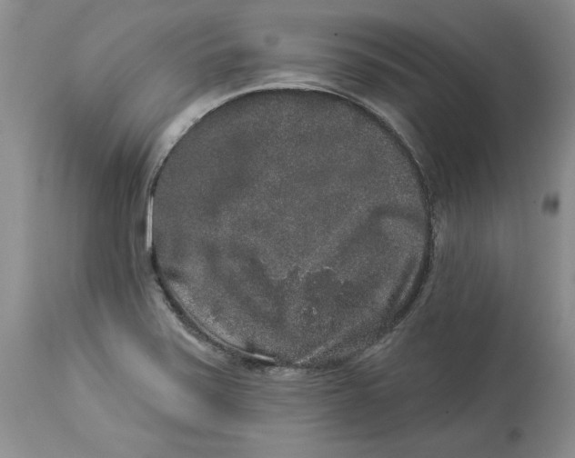 X0000113981371200910231659