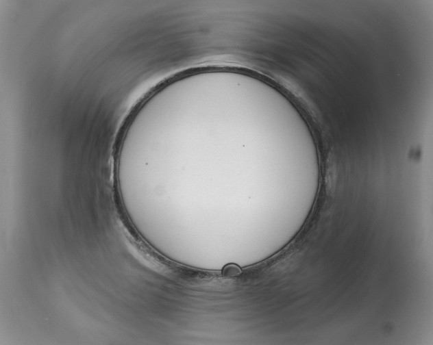 X0000113981372200910231659