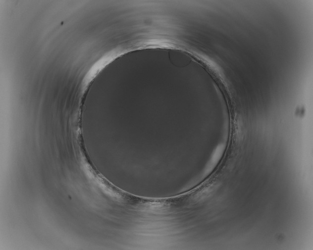 X0000113981373200910231659