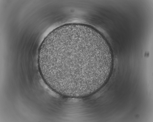 X0000113981374200910231659