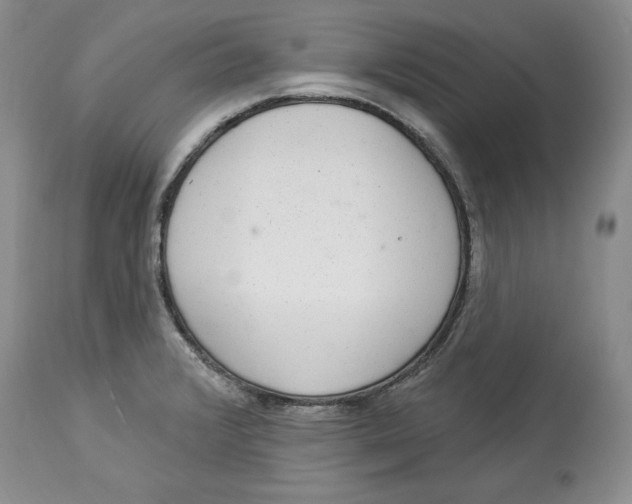 X0000113981376200910231659