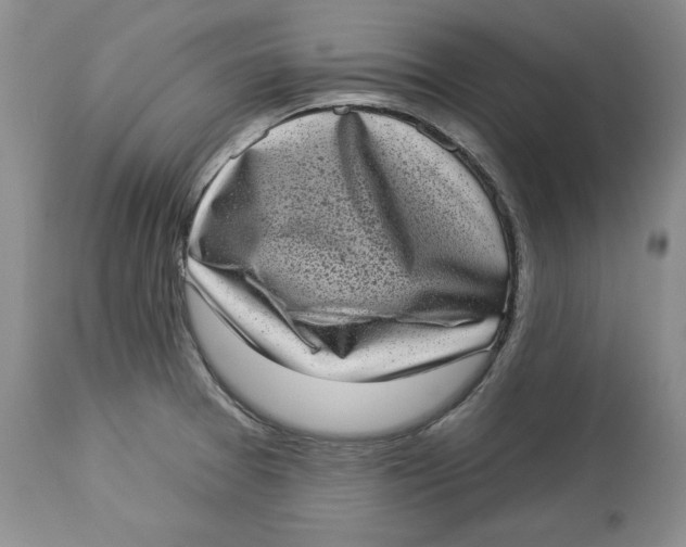 X0000113981377200910231659