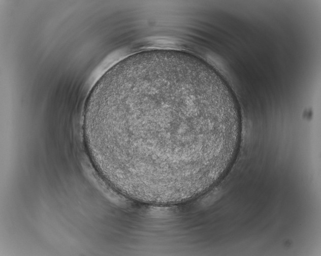 X0000113981378200910231658