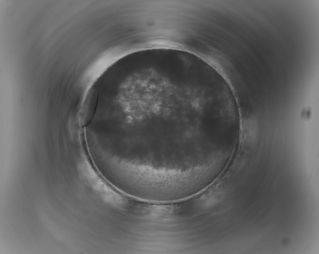 X0000113981381200910231658