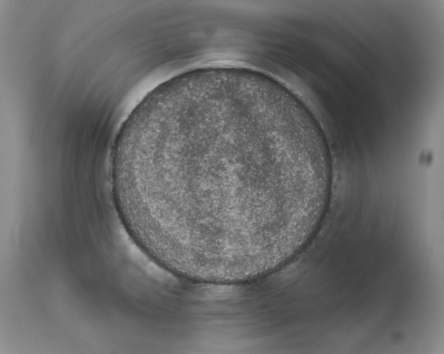 X0000113981382200910231658