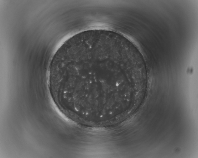 X0000113981383200910231658