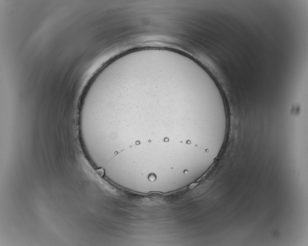 X0000113981384200910231658