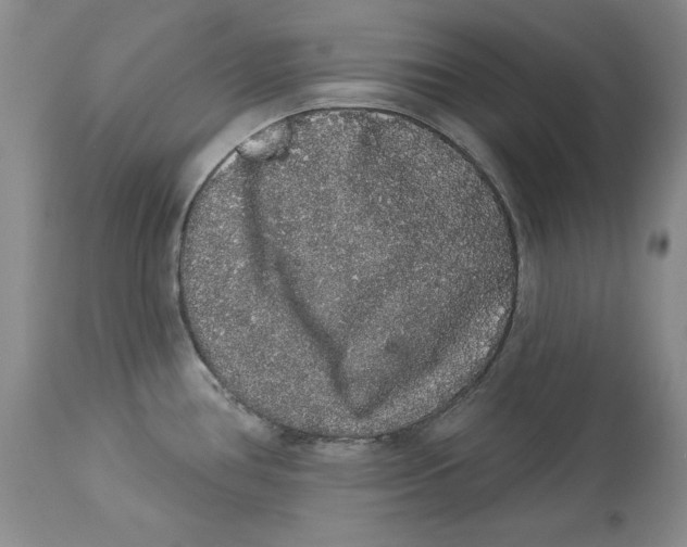 X0000113981386200910231658