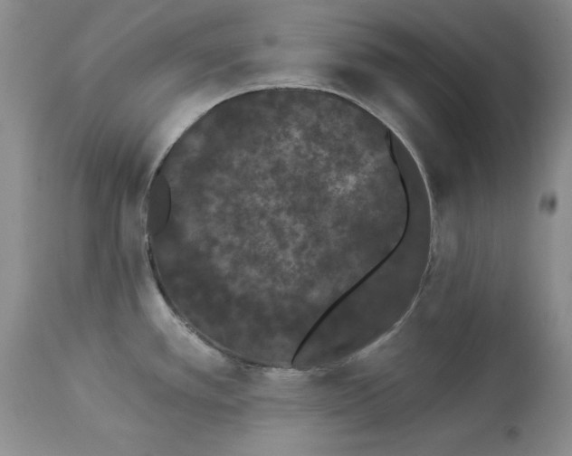 X0000113981389200910231658