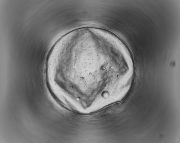 X0000113981391200910231658