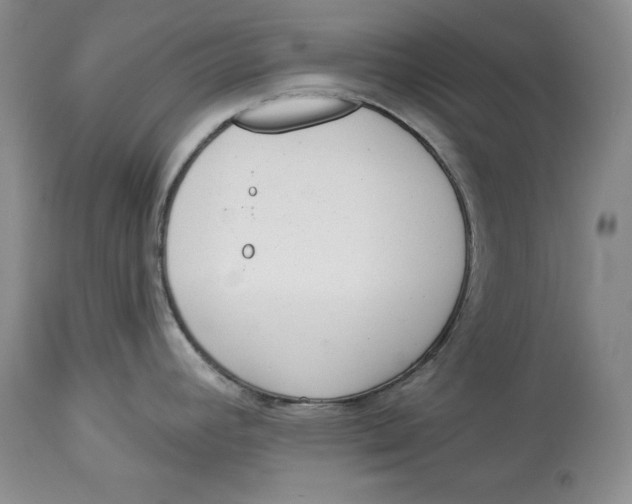 X0000113981392200910231658