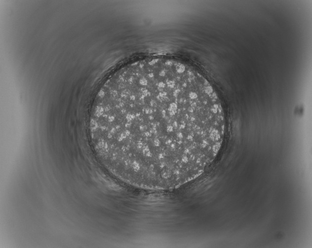 X0000113981393200910231657