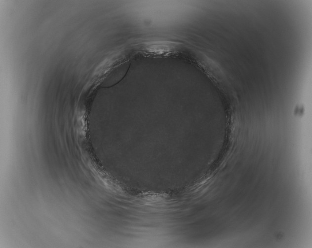 X0000113981394200910231657