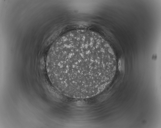 X0000113981395200910231657