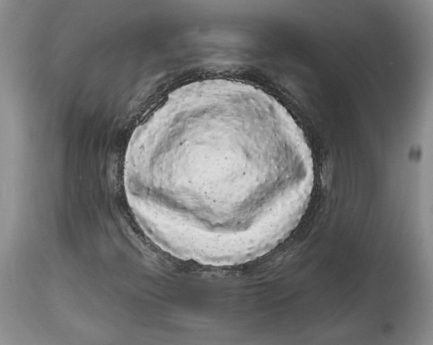 X0000113981396200910231658