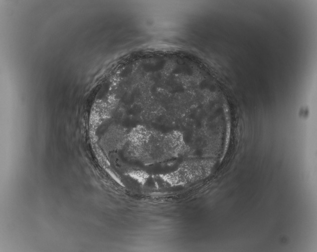 X0000113981397200910231658